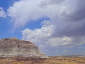 Petrified Forest National Park