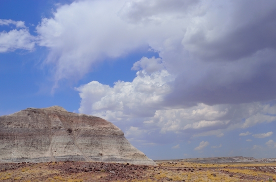 Petrified Forest National Park