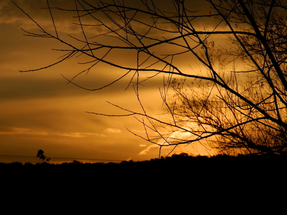 Cuyahoga Valley National Park (Ohio)