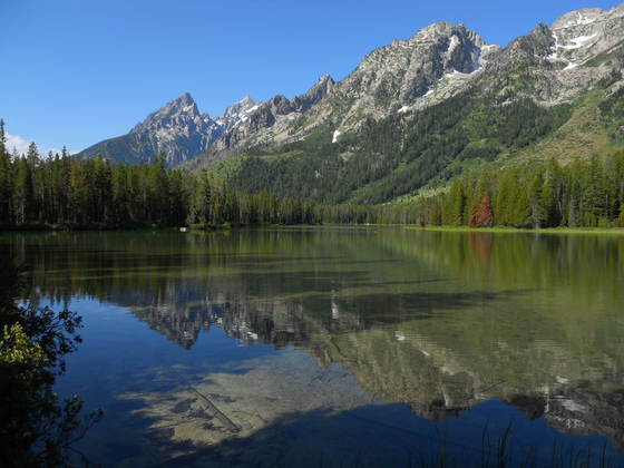 Grand Teton NP