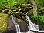 Great Smoky Mountain National Park