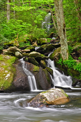 Great Smoky Mountain National Park