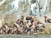 Wrangell-St. Elais National Park
