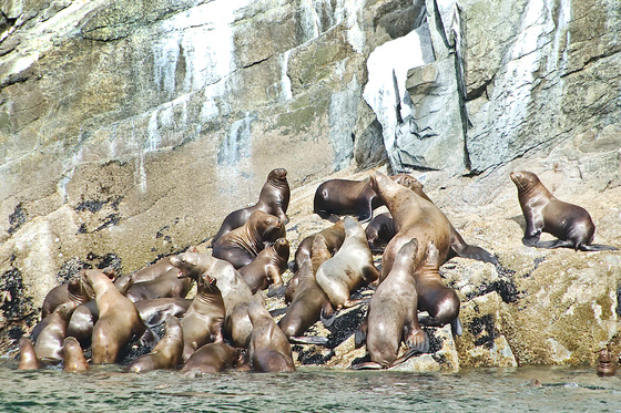 Wrangell-St. Elais National Park