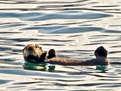 Wrangell-St. Elais National Park