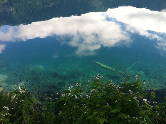 Olympic National Park