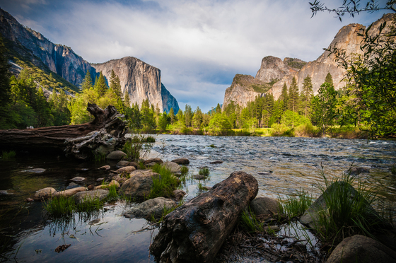 Yosemite National Park