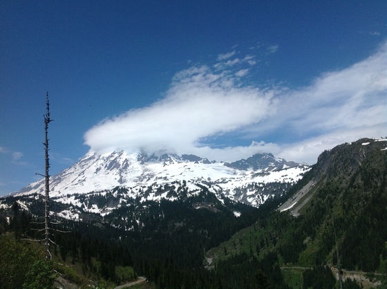 Mt Rainier