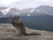 Rocky Mountain national Park