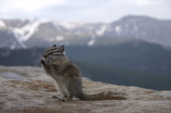 Rocky Mountain national Park