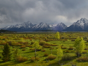 Grand Teton National park