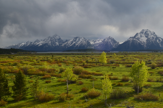 Grand Teton National park