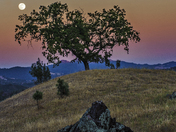 Los Padres National Forest
