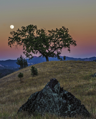 Los Padres National Forest