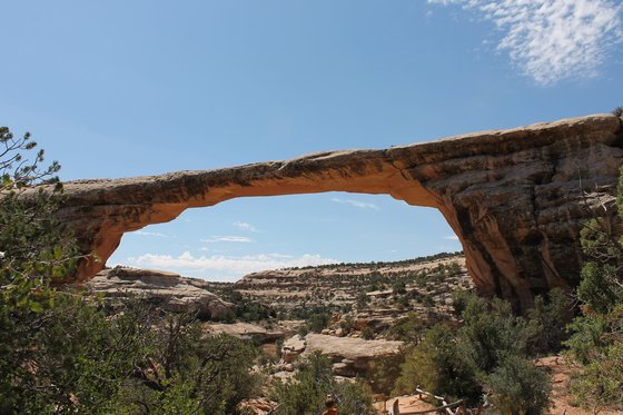 Natural Bridges National Monument