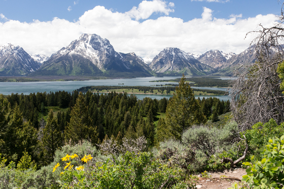 Grand Teton National Park