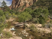 Zion National Park