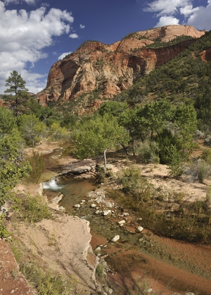 Zion National Park