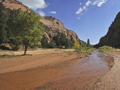 Zion National Park