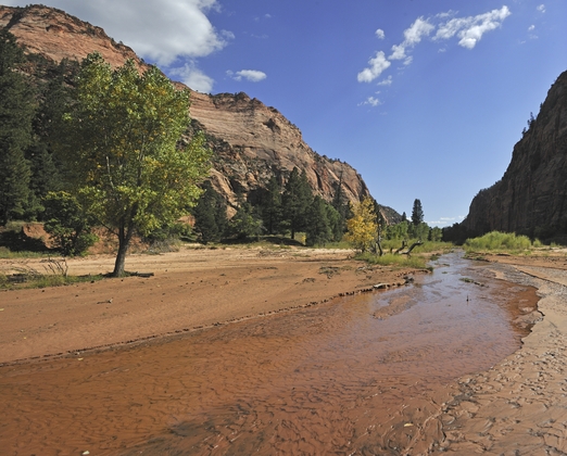 Zion National Park