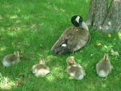 Gotta do what mommy does