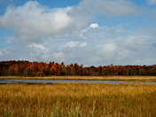 Bombay Hook