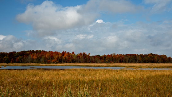 Bombay Hook