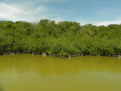 Everglades National Park