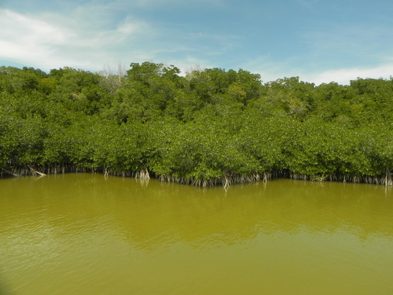 Everglades National Park