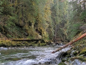 Mount Baker - Snoqualmie National Forest