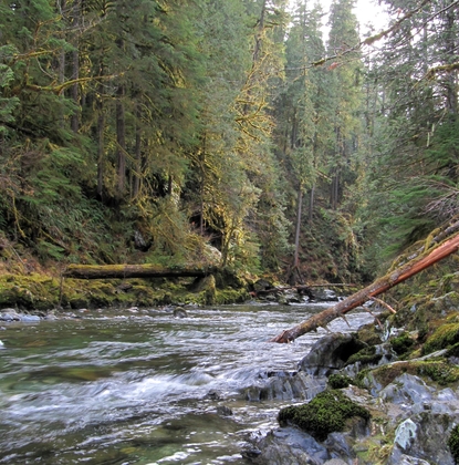 Mount Baker - Snoqualmie National Forest