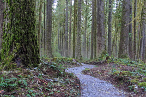 Mount Baker - Snoqualmie National Forest