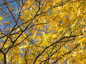 Great Smoky Mountains National Park
