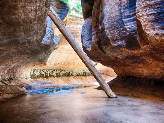 Zion National Park