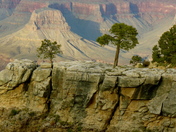 The Grand Canyon