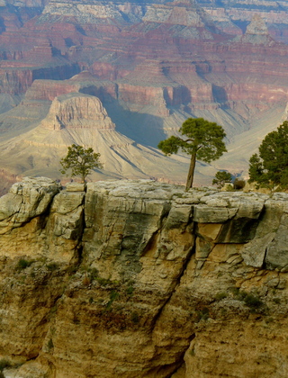 The Grand Canyon