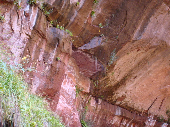 Zion National Park