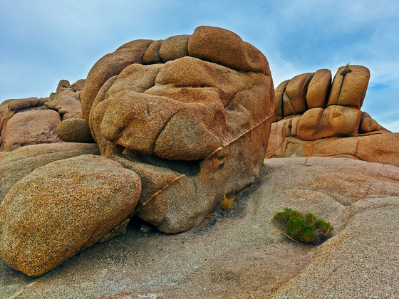 Joshua Tree National Park