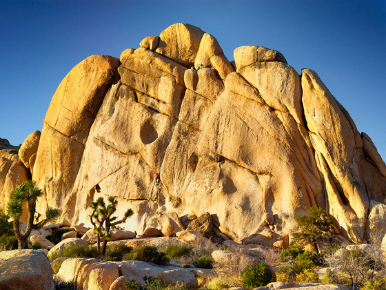 Joshua Tree National Park