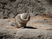 Yosemite