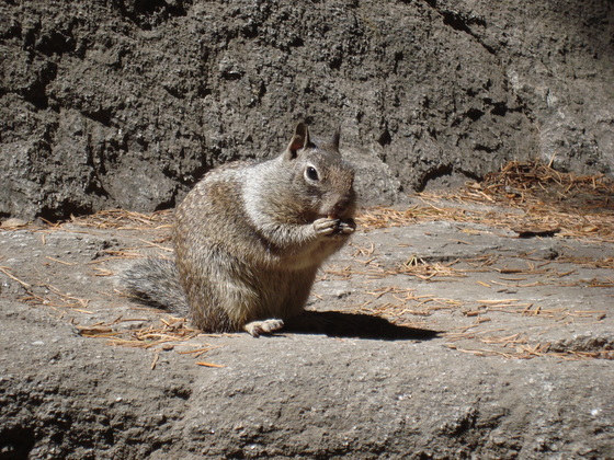 Yosemite