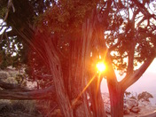 Grand Canyon National Park