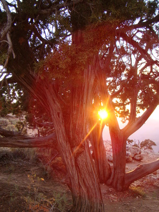 Grand Canyon National Park