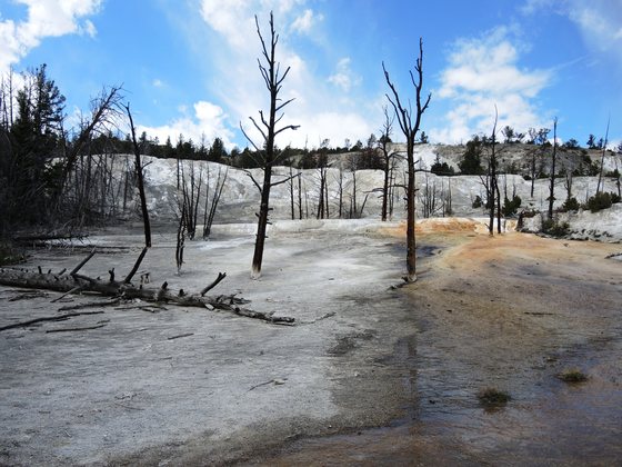 Yellowstone National Park