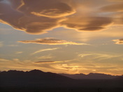 Joshua Tree
