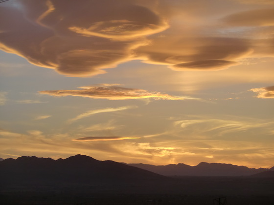 Joshua Tree