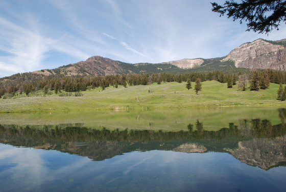 yellowstone national park