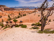 Bryce Canyon National Park