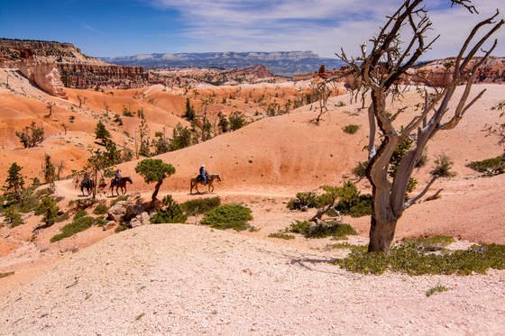 Bryce Canyon National Park