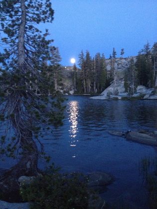 Tahoe National Forest